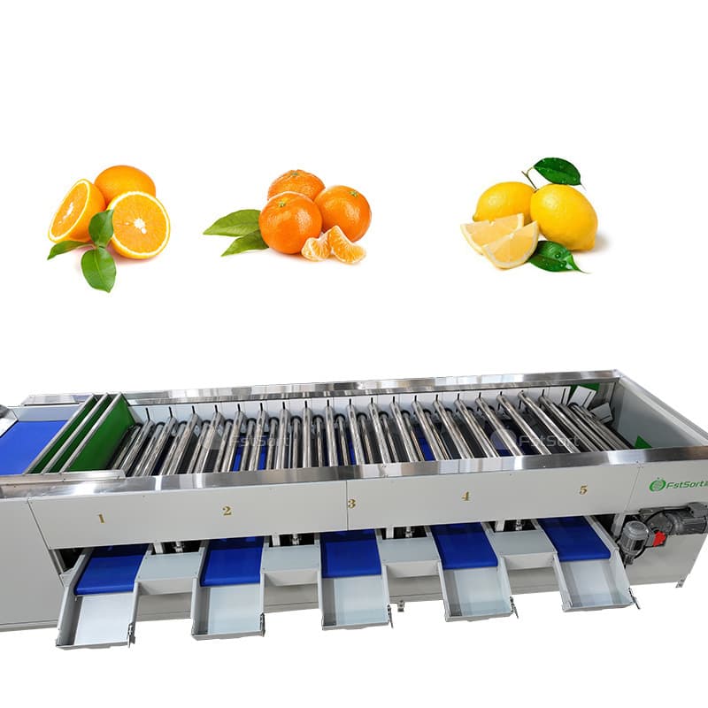 images/1762764558290citrus processing.jpg